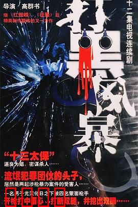 打黑风暴：正义终至