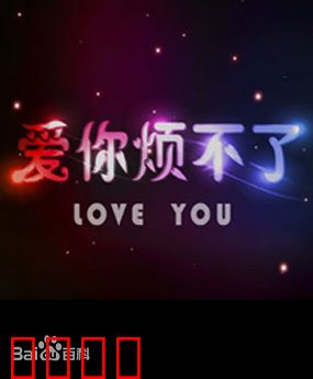 爱你烦不了：爱上你的小麻烦