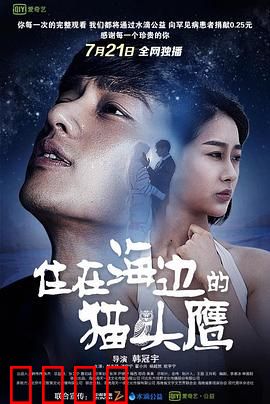 住在海边的猫头鹰：治愈系心灵归途
