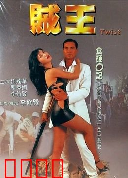 贼王 1995：神偷末路