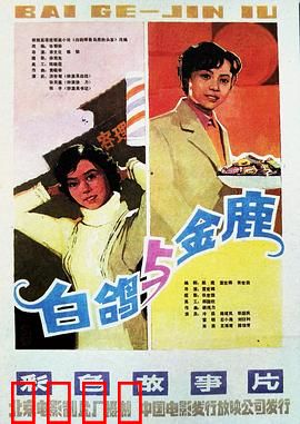 白鸽：自由的代价