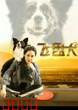 飞盘犬：热血追梦