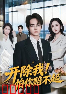 开除我！怕你赔不起：逆袭之路