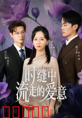 时缝中流走的爱意:时光逆旅