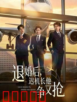 退婚后,迟机长他争又抢:高冷机长的追妻路